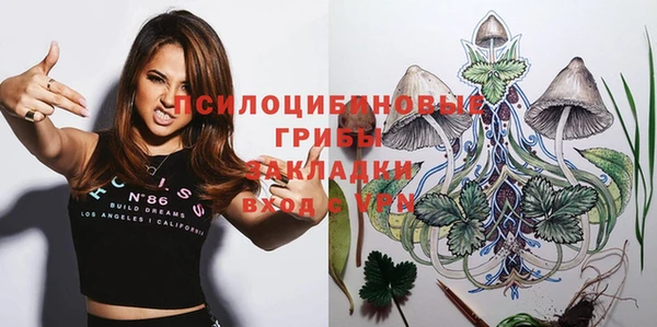 мдма Богданович