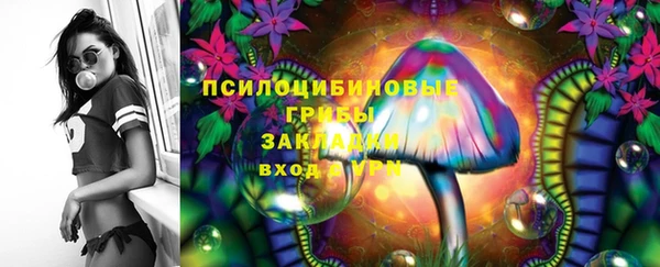 таблы Богородск