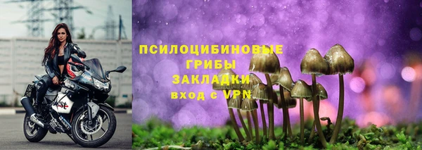 синтетический гашиш Богородицк
