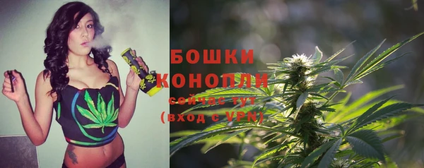 синтетический гашиш Богородицк