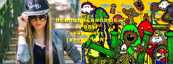 мдма Богданович