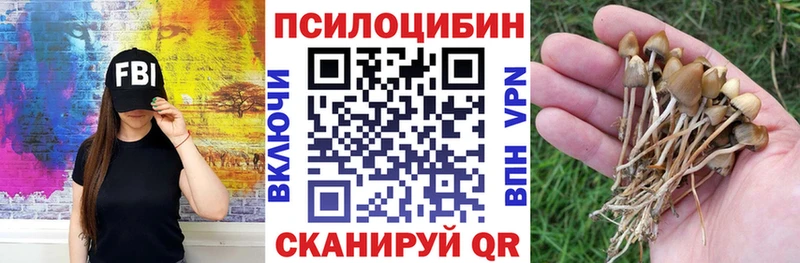 Купить  Амурск  Псилоцибиновые грибы GOLDEN TEACHER 
